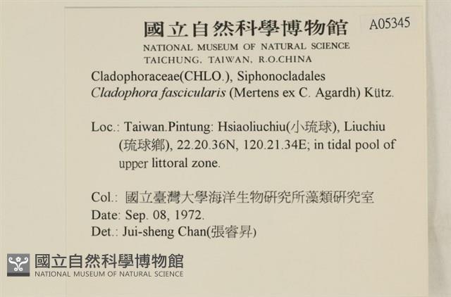 登錄號:A00005345藏品圖，第2張