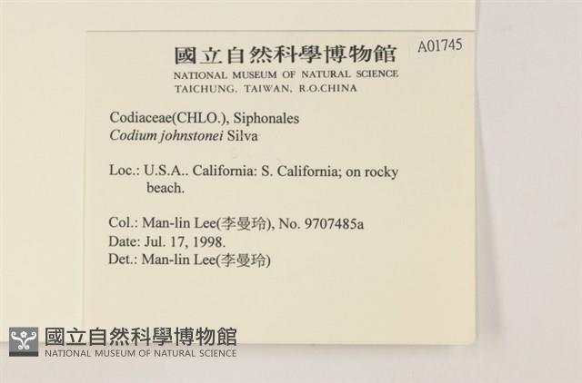 登錄號:A00001745藏品圖，第2張