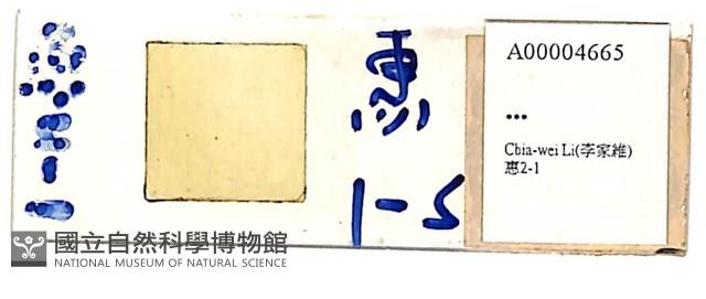 登錄號:A00004665藏品圖，第1張