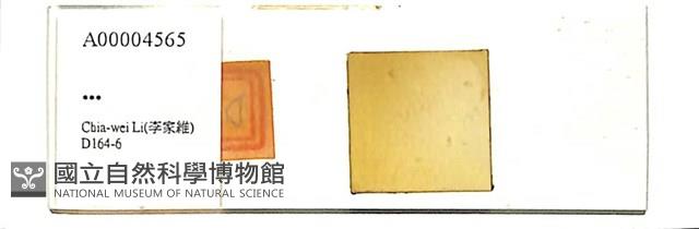 登錄號:A00004565藏品圖，第1張