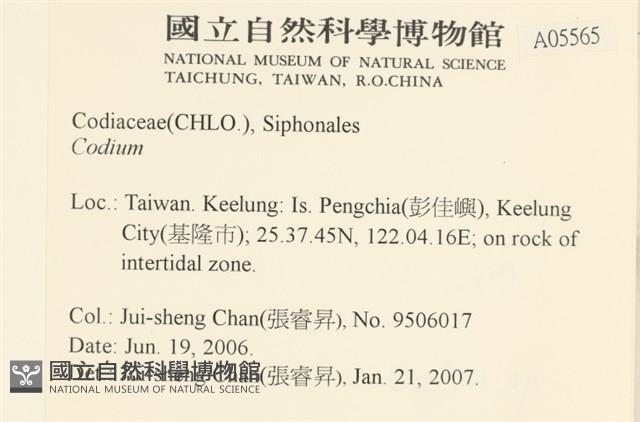登錄號:A00005565藏品圖，第2張