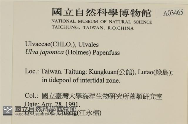 登錄號:A00003465藏品圖，第2張