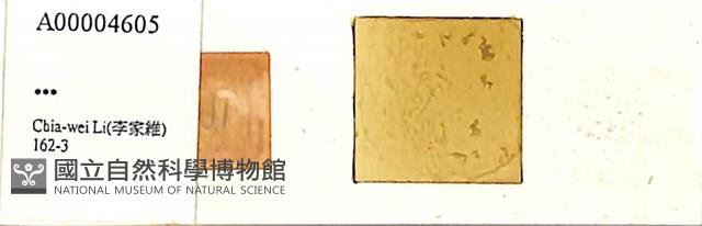 登錄號:A00004605藏品圖，第1張