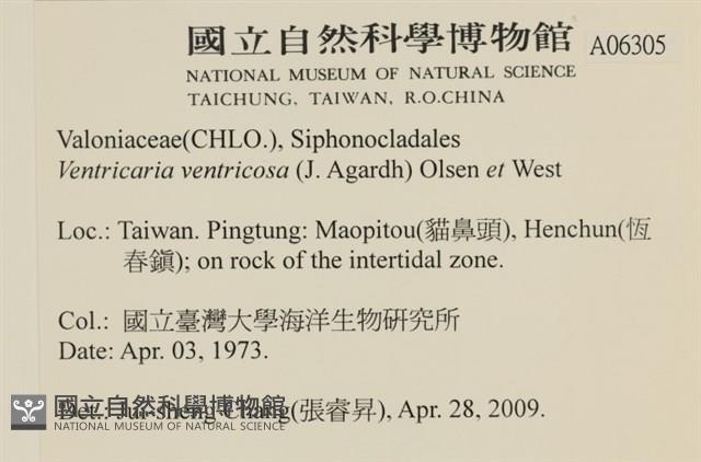 登錄號:A00006305藏品圖，第2張