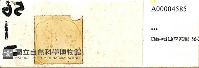 登錄號:A00004585藏品圖，第1張