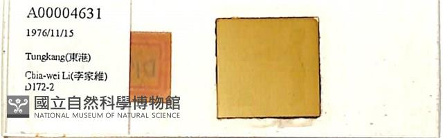 登錄號:A00004631藏品圖，第1張
