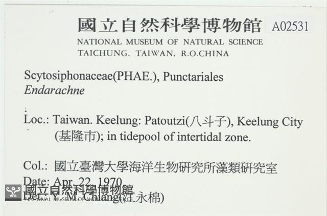 登錄號:A00002531藏品圖，第2張