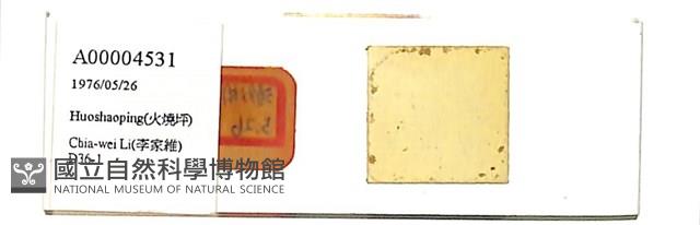 登錄號:A00004531藏品圖，第1張