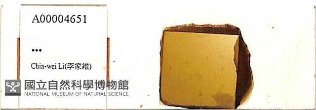 登錄號:A00004651藏品圖，第1張