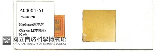 登錄號:A00004551藏品圖，第1張
