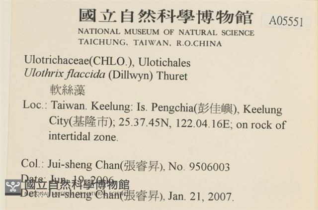 登錄號:A00005551藏品圖，第2張