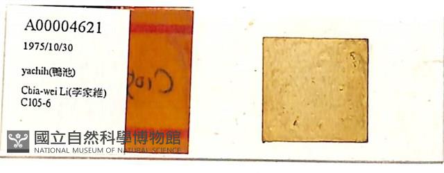 登錄號:A00004621藏品圖，第1張