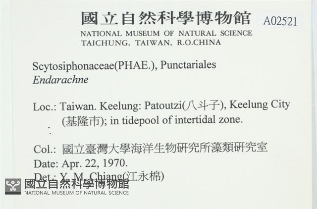 登錄號:A00002521藏品圖，第2張