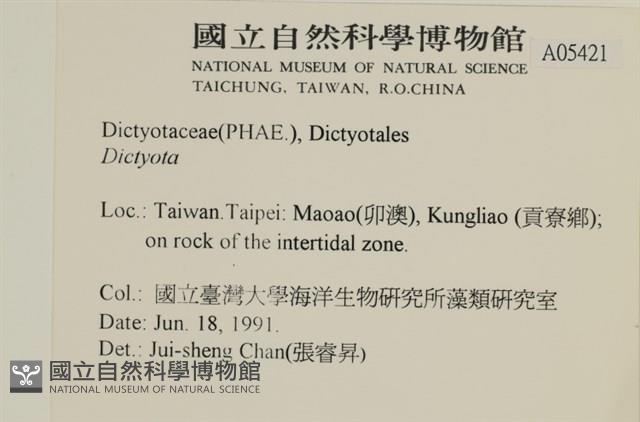 登錄號:A00005421藏品圖，第2張