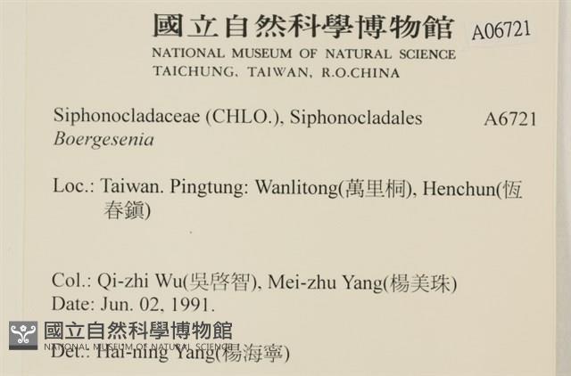 登錄號:A00006721藏品圖，第2張