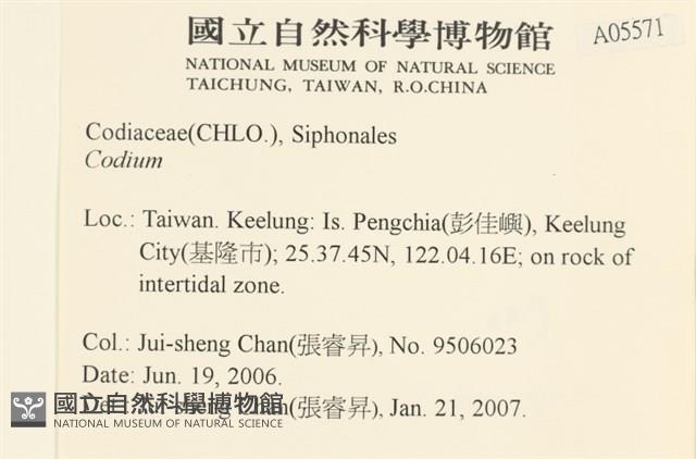 登錄號:A00005571藏品圖，第2張
