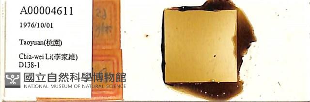 登錄號:A00004611藏品圖，第1張
