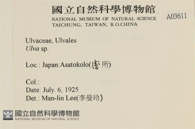 登錄號:A00003611藏品圖，第2張