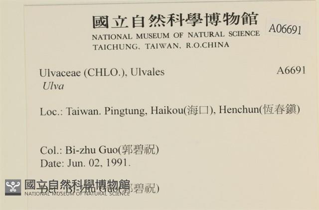 登錄號:A00006691藏品圖，第2張