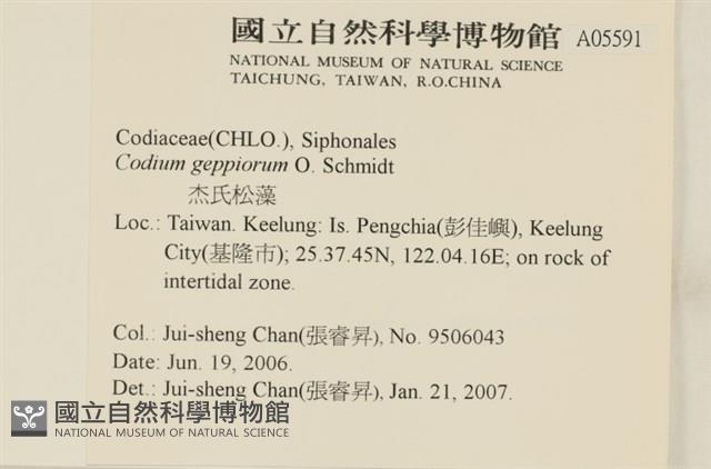 登錄號:A00005591藏品圖，第2張