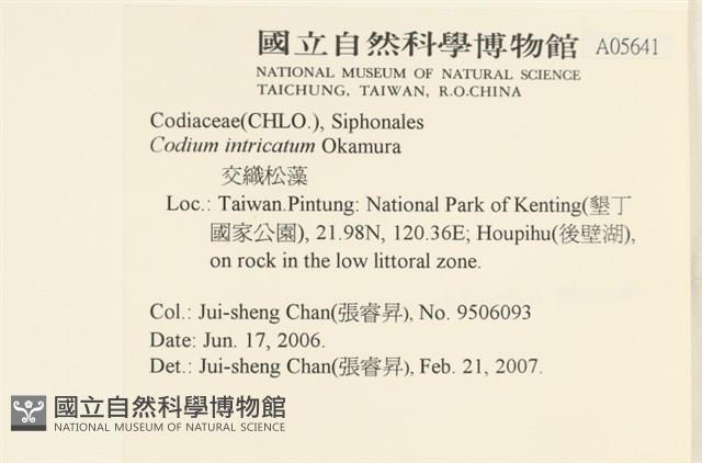 登錄號:A00005641藏品圖，第2張
