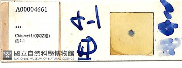 登錄號:A00004661藏品圖，第1張