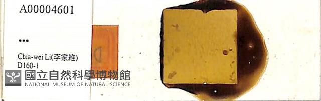 登錄號:A00004601藏品圖，第1張