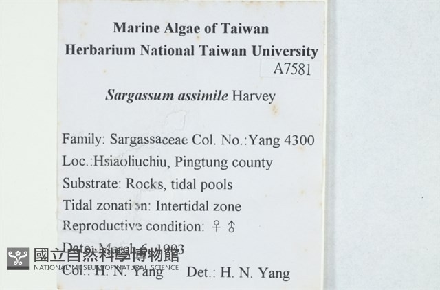 登錄號:A00007581藏品圖，第2張