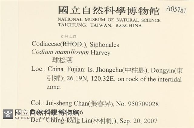 登錄號:A00005781藏品圖，第2張