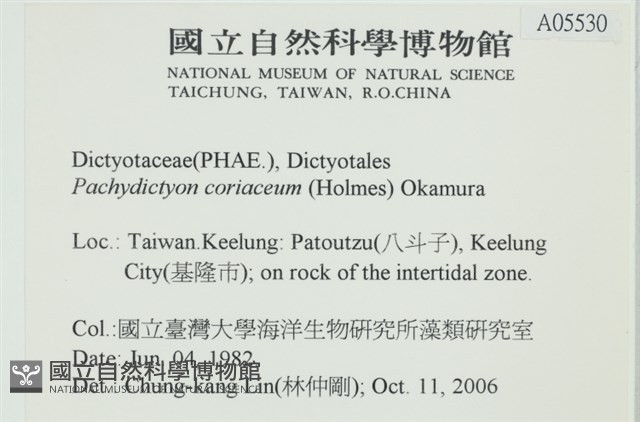 厚網目藻藏品圖，第2張