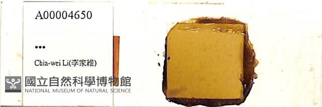 登錄號:A00004650藏品圖，第1張