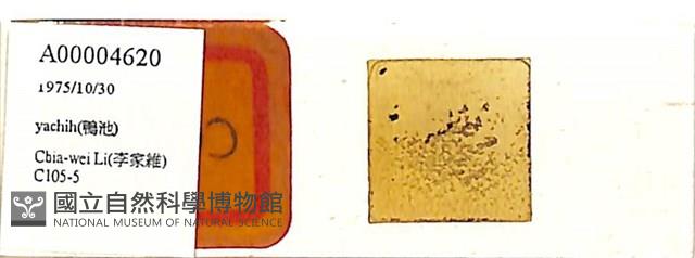 登錄號:A00004620藏品圖，第1張