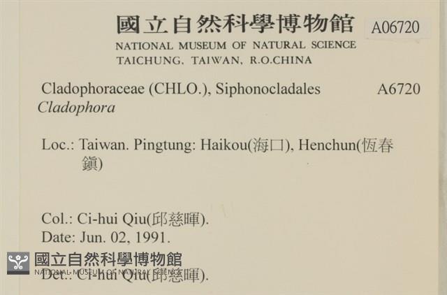 登錄號:A00006720藏品圖，第2張