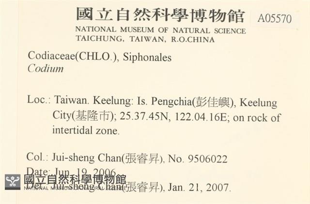 登錄號:A00005570藏品圖，第2張