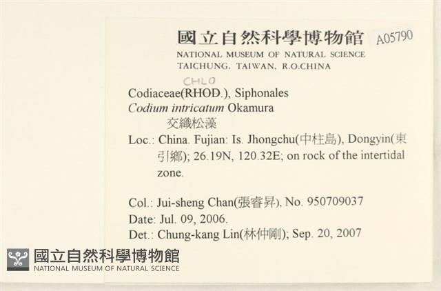 登錄號:A00005790藏品圖，第2張
