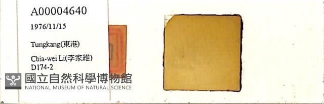 登錄號:A00004640藏品圖，第1張