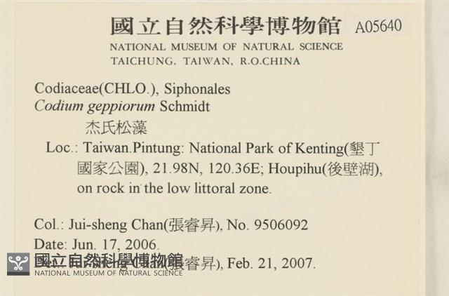 登錄號:A00005640藏品圖，第2張