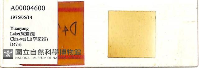 登錄號:A00004600藏品圖，第1張