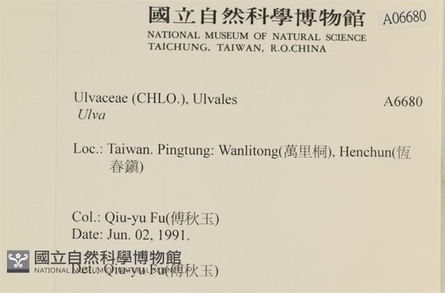 登錄號:A00006680藏品圖，第2張