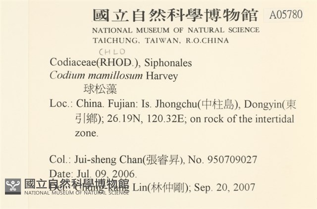 登錄號:A00005780藏品圖，第2張