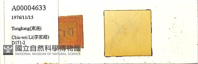 登錄號:A00004633藏品圖，第1張