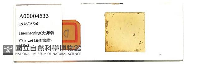 登錄號:A00004533藏品圖，第1張