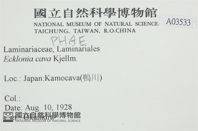 登錄號:A00003533藏品圖，第2張