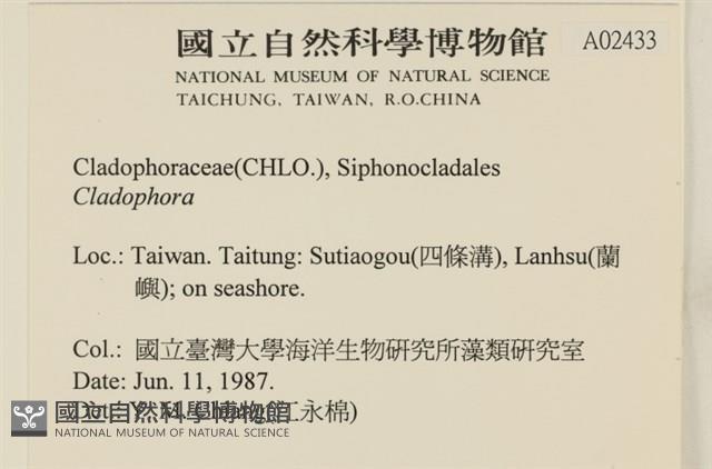 登錄號:A00002433藏品圖，第2張