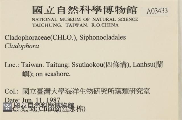 登錄號:A00003433藏品圖，第2張