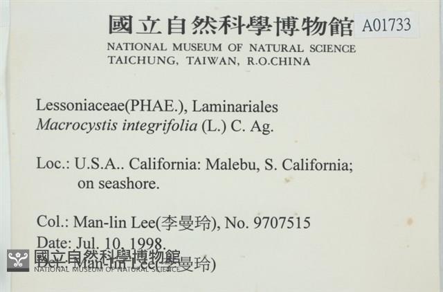 登錄號:A00001733藏品圖，第2張