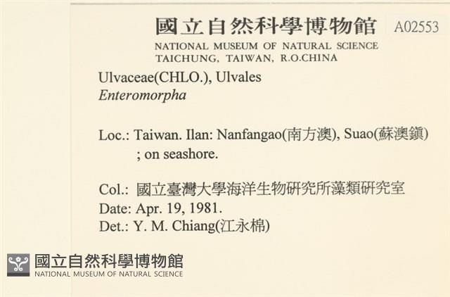登錄號:A00002553藏品圖，第2張