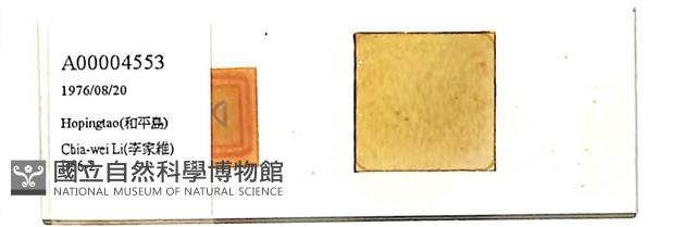 登錄號:A00004553藏品圖，第1張