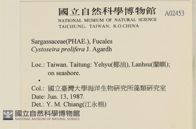 登錄號:A00002453藏品圖，第2張