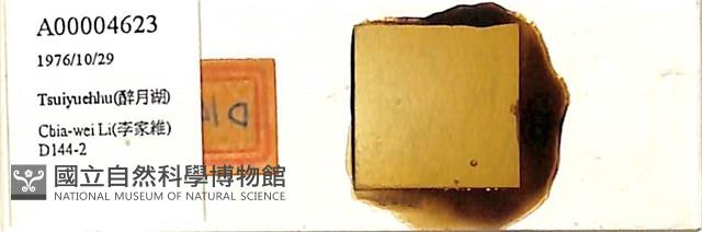 登錄號:A00004623藏品圖，第1張